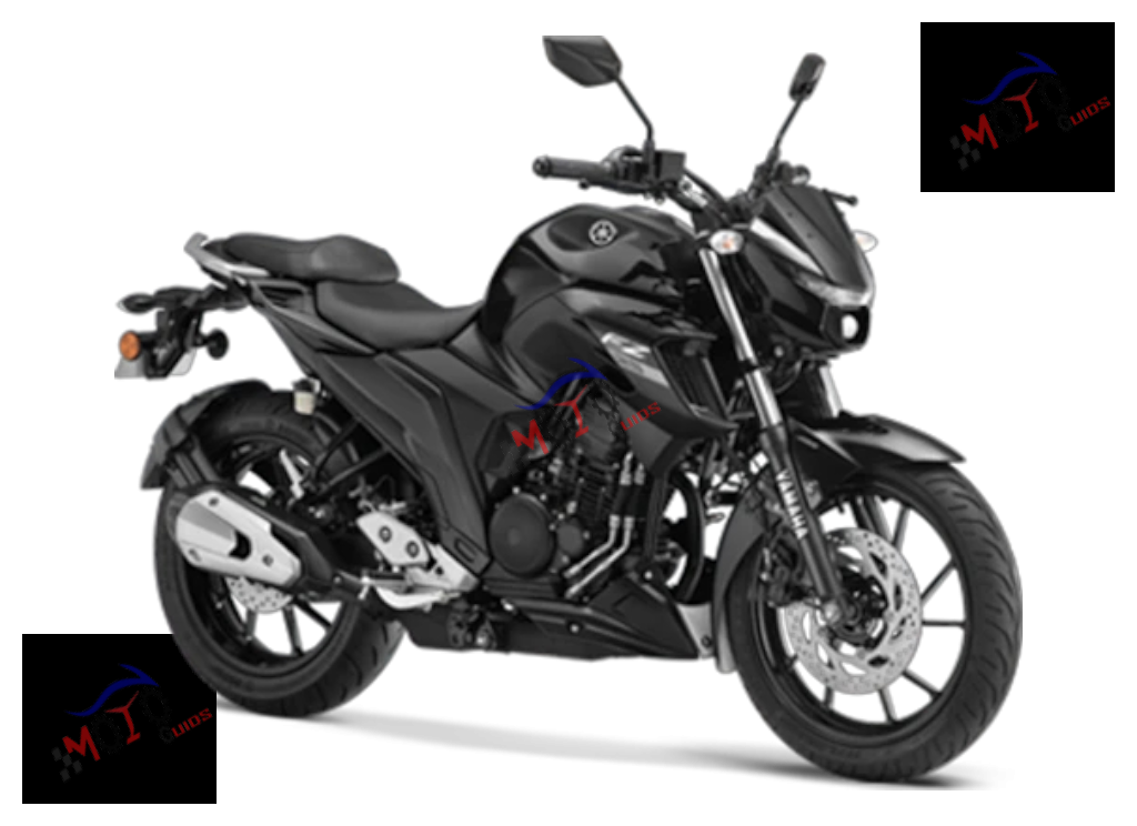 FZ 25 / FZS 25