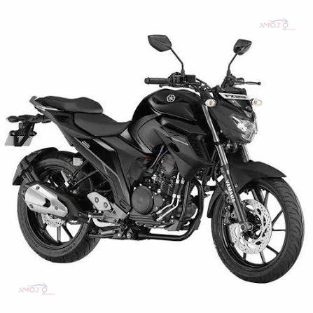 FZ 25.