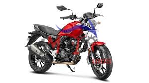 XPULSE 200T FI BSVI (Feb, 2021)