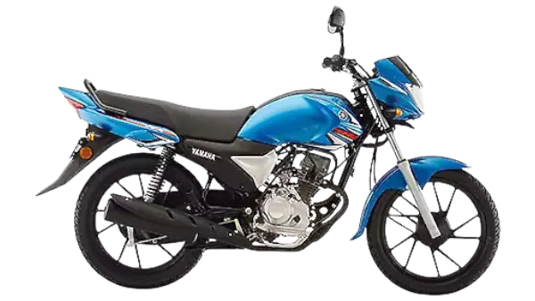 SALUTO RX YC110D-4C 2019
