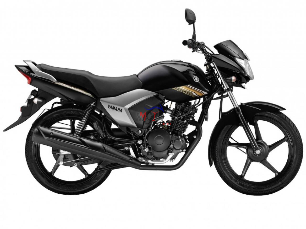 SALUTO YC125-4C 2019