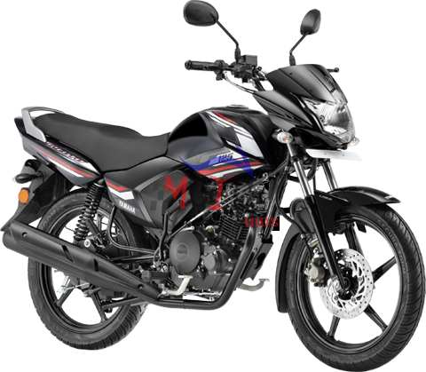 SALUTO YC125-5C 2019