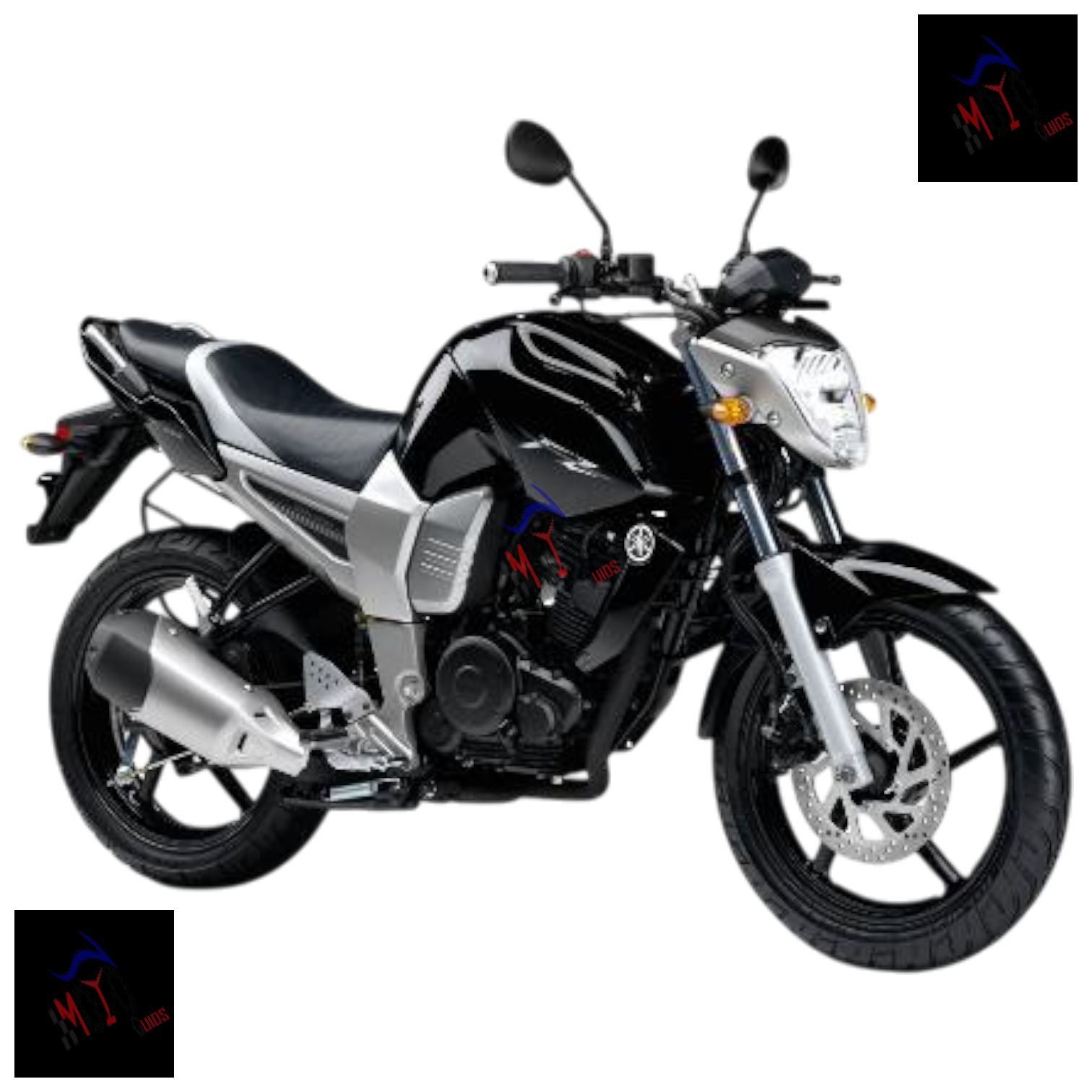 FZ16 2011