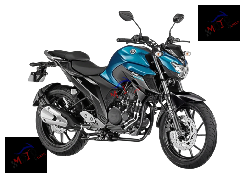FZ 25 - FZN250