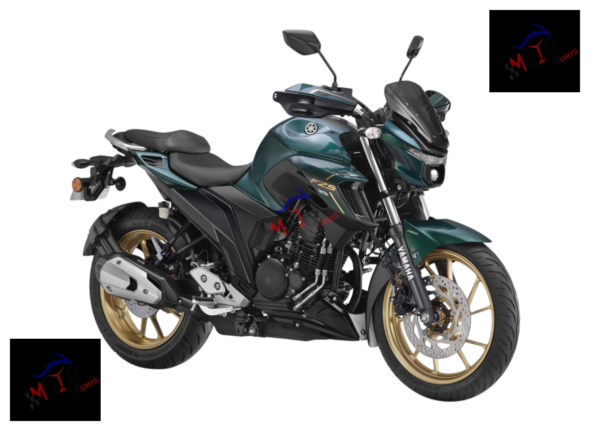 FZS 25 - FZN250D-A 2021
