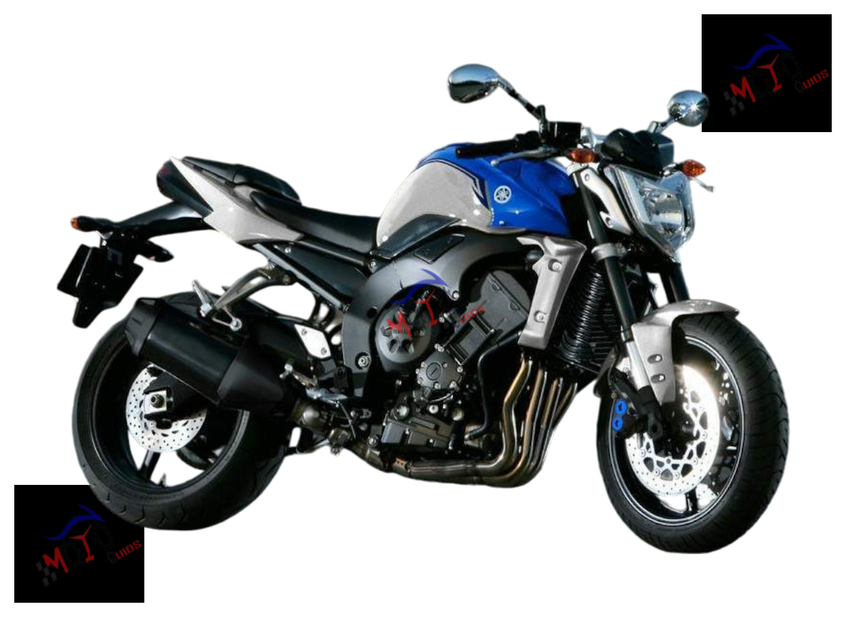FZ1-N 2011