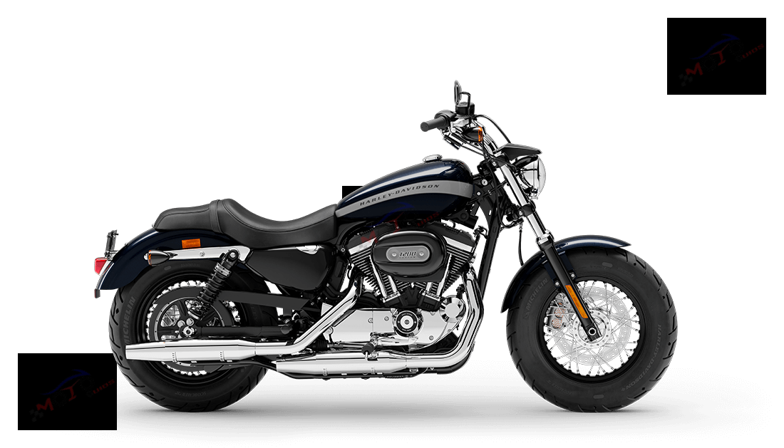 HARLEY-DAVIDSON 1200 CUSTOM.