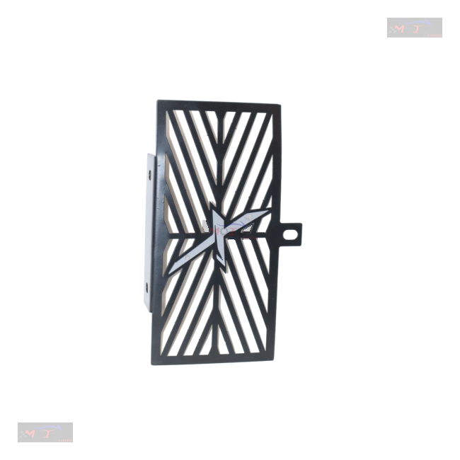 Radiator Guard For Xpulse-BLUE