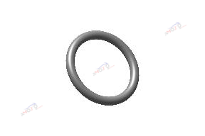 O RING-OIL FILLER PLUG